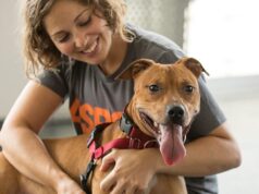 Mental and Physical Health Benefits of Owning a Dog