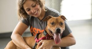 Mental and Physical Health Benefits of Owning a Dog