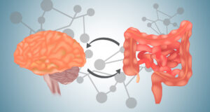 Deciphering the Link Between Digestion And Brain Health