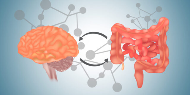 Deciphering the Link Between Digestion And Brain Health