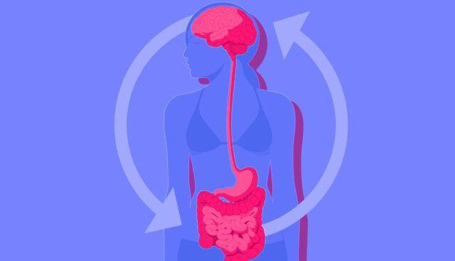 How The Brain And Gut Are Connected